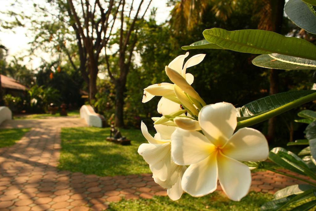 Secret Garden Chiangmai Hotel Szankampheng Kültér fotó